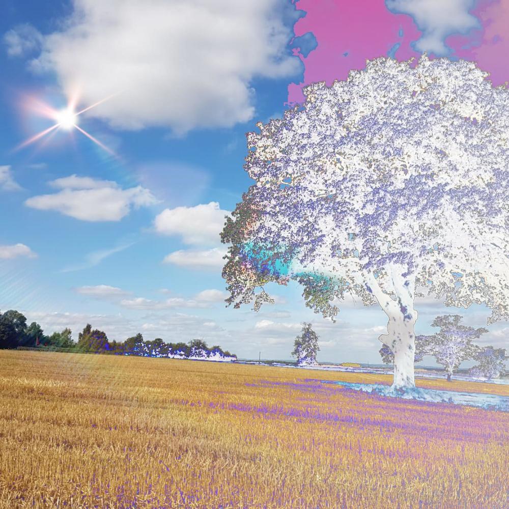 This Should Be My Sanctuary (feat. Yamala) (其他)