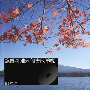 Album 难分离(吉他弹唱） from 鲍岩块