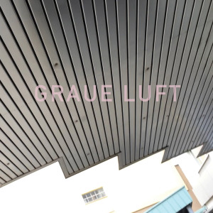 Friends of Gas的專輯Graue Luft