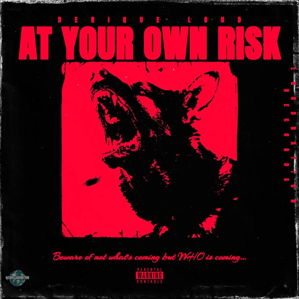 At Your Own Risk (Explicit)