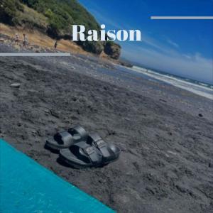 Various的专辑Raison