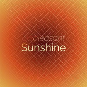 Album Unpleasant Sunshine oleh Various