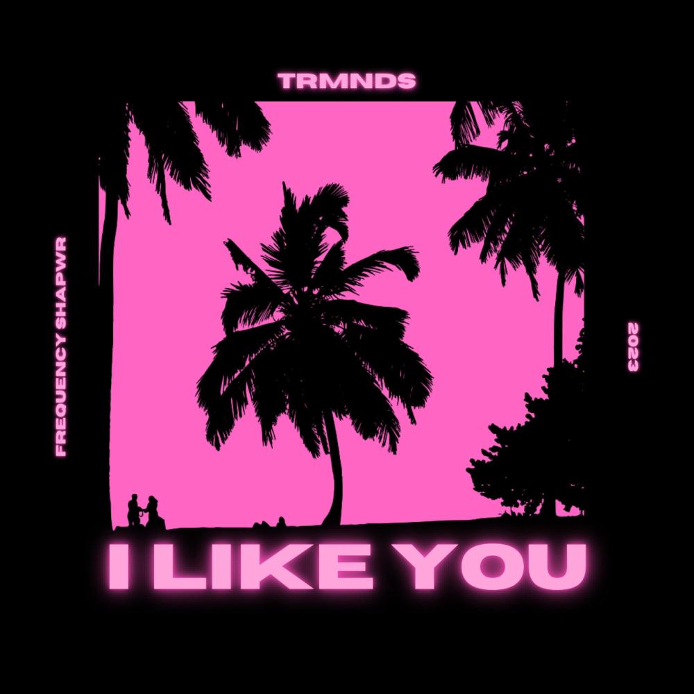 I Like You (Explicit)