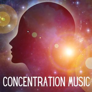 Various Artists的專輯Concentration Music