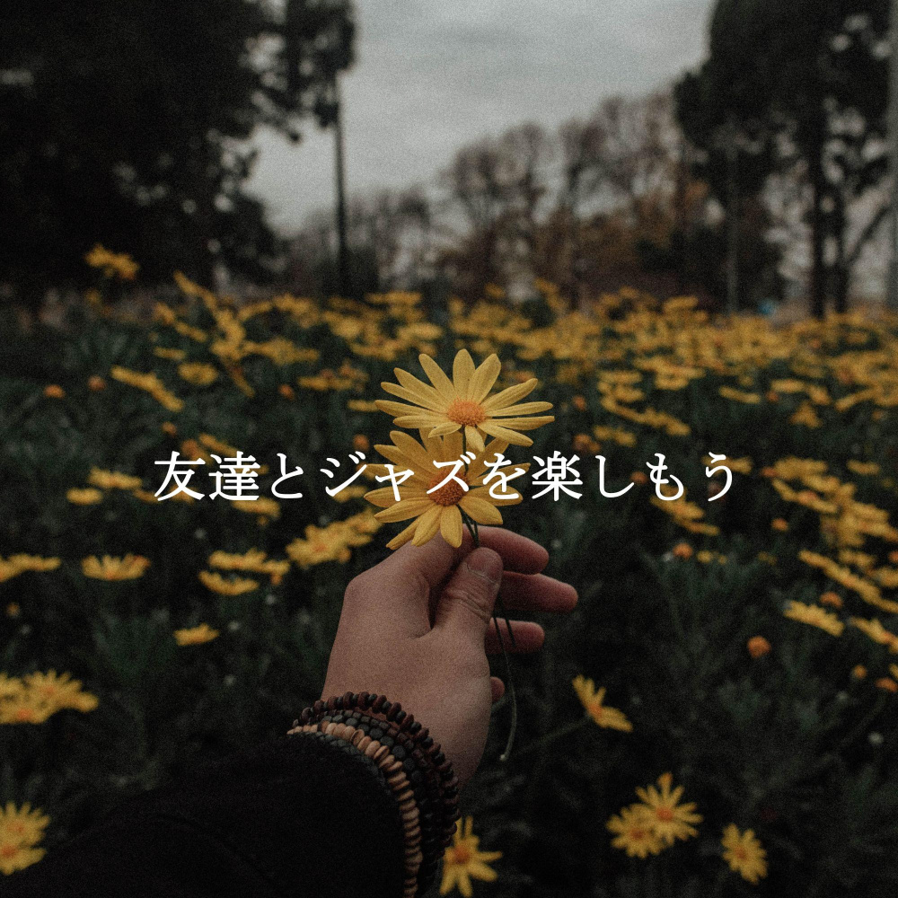 Majestic Ambiance for Relaxing Favorites