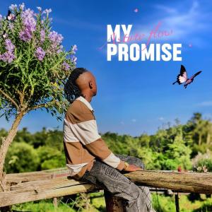 ดาวน์โหลดและฟังเพลง My promise (Explicit) พร้อมเนื้อเพลงจาก astute flow