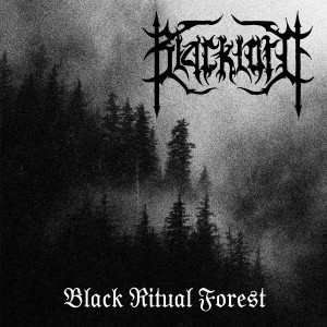 ดาวน์โหลดและฟังเพลง Cold Blood พร้อมเนื้อเพลงจาก Black Lord