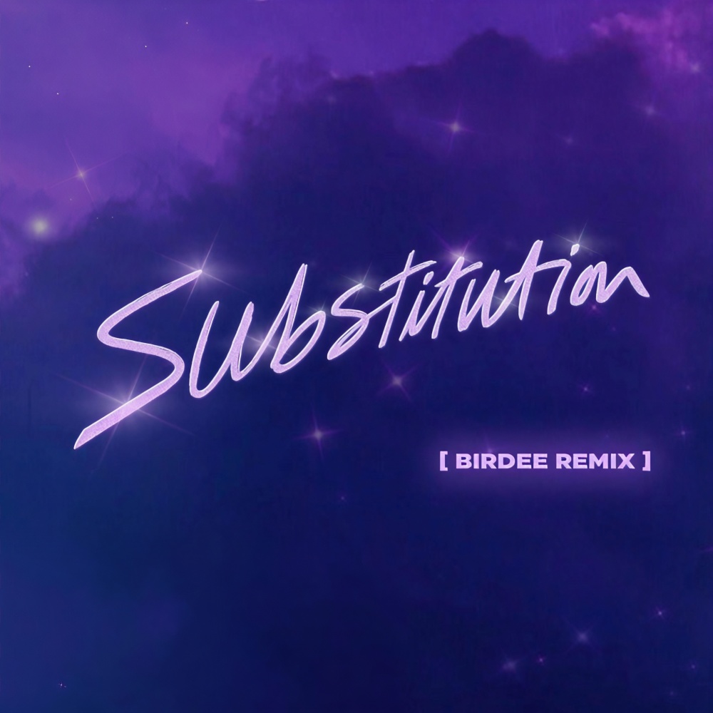 Substitution (Birdee Remix|Radio Edit)