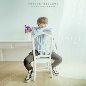 Listen to 鸟儿飞 song with lyrics from 赵哲