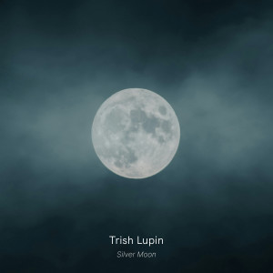 Silver Moon dari Trish Lupin
