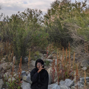 default playlist img