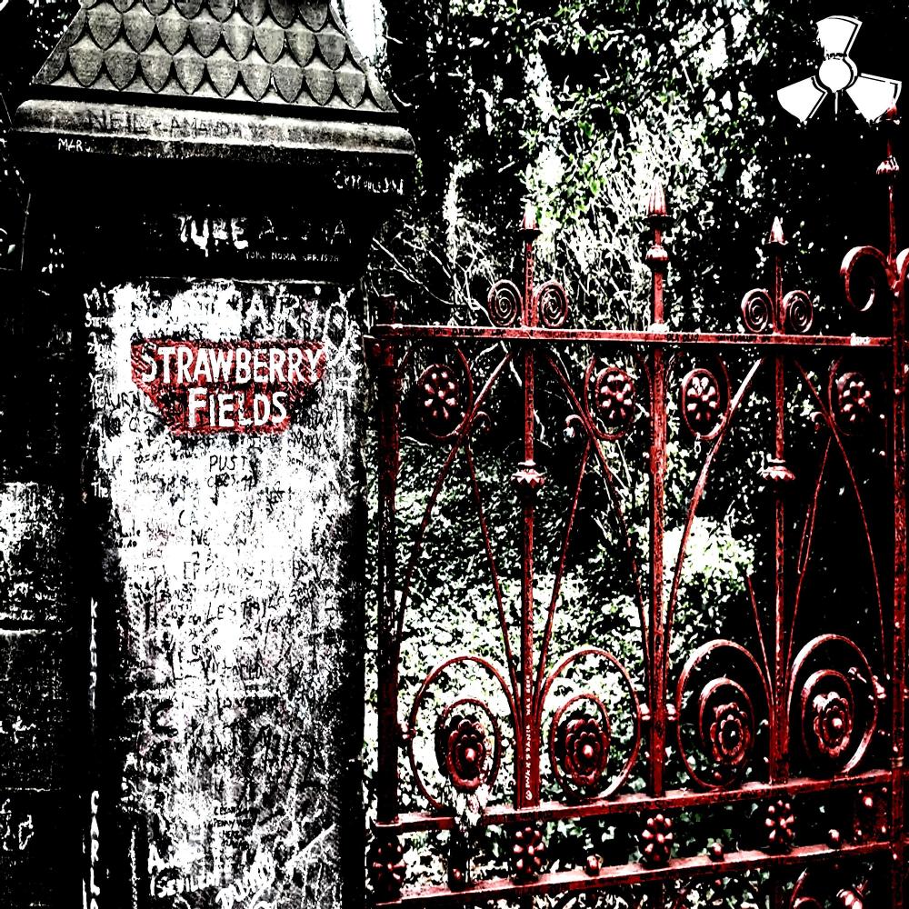 STRAWBERRY FIELDS (feat. VANDALINVAIN) (Explicit)