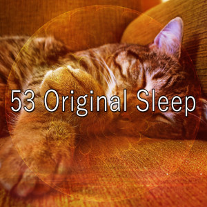 ดาวน์โหลดและฟังเพลง Rapid Sleeping พร้อมเนื้อเพลงจาก Nature Sounds Nature Music