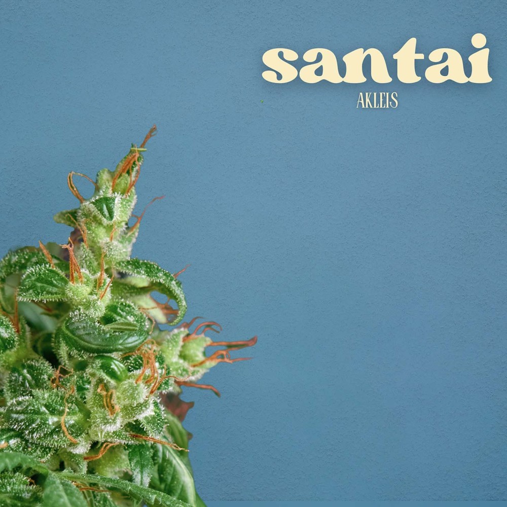 Santai