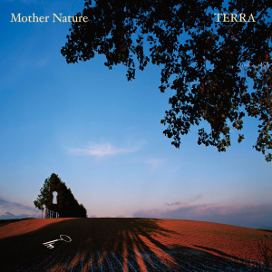 ดาวน์โหลดและฟังเพลง Lost in Contemplation พร้อมเนื้อเพลงจาก Terra