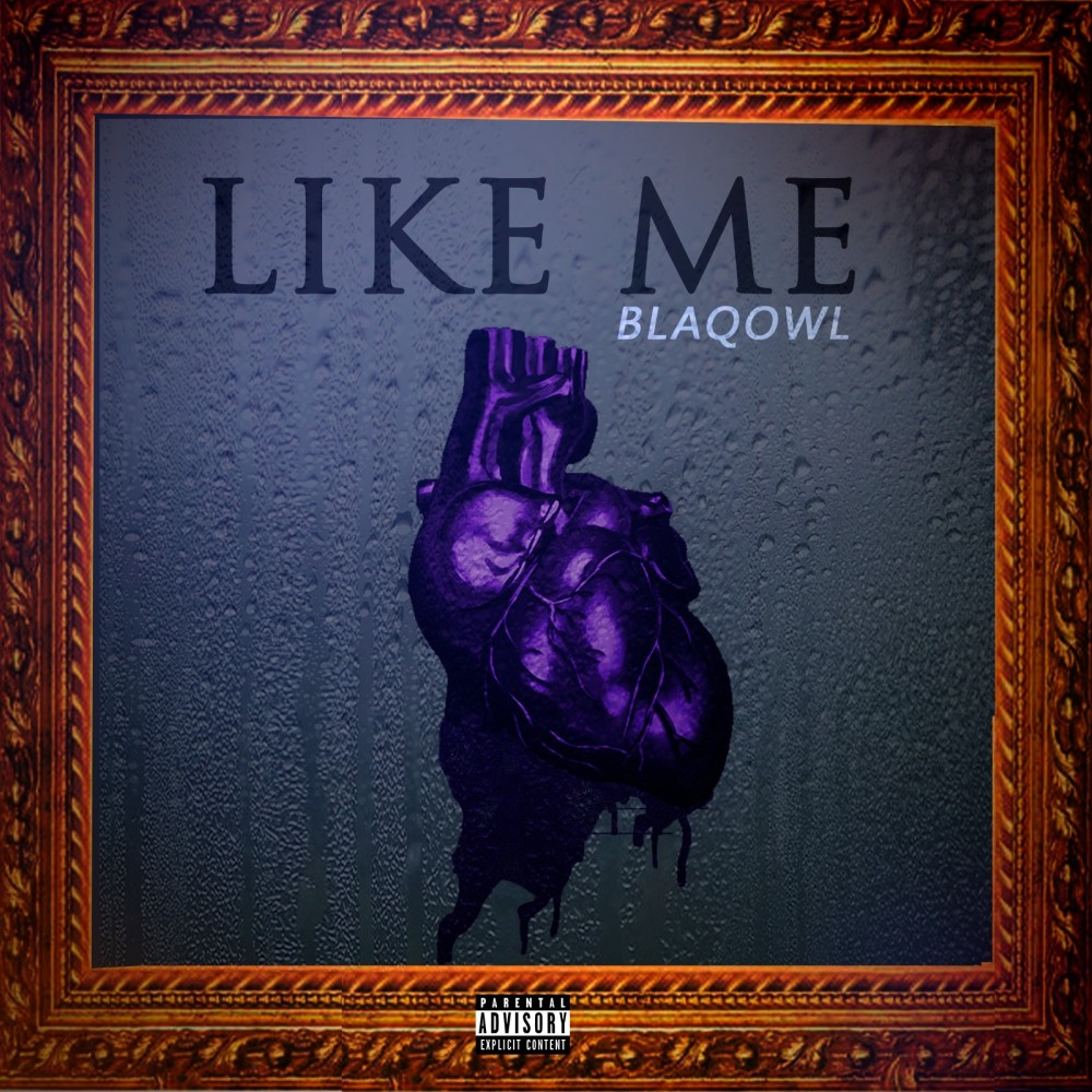 Like Me (Explicit)