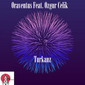 Özgür Çelik的專輯Turkuaz