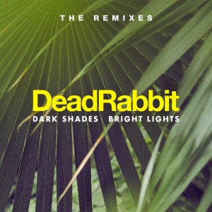 Dengarkan In My Cup (NOMONO Remix) lagu dari Dead Rabbit dengan lirik