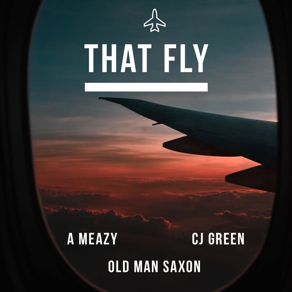 That Fly (Explicit)