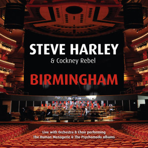 收聽Steve Harley & Cockney Rebel的Hideaway (Live)歌詞歌曲