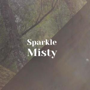 Listen to Sparkle Misty song with lyrics from Tyran Saer
