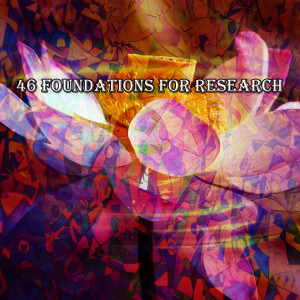 46 Foundations For Research