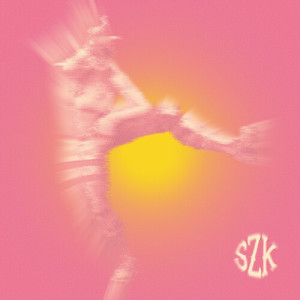 Listen to Fallegi Lúserinn Minn song with lyrics from SZK