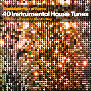 อัลบัม 40 Instrumental House Tunes (In a Disco Jazzy DeepTech Feeling) ศิลปิน Black Mighty Wax