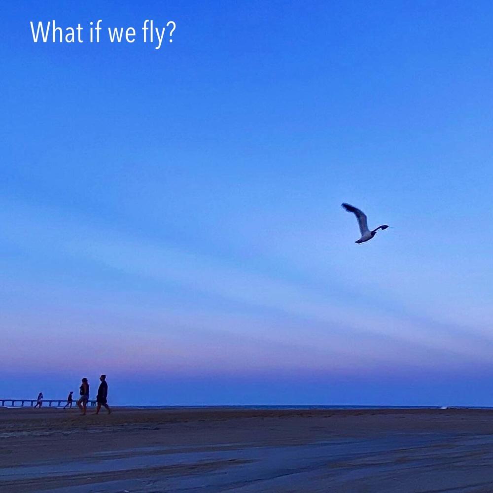 What if we fly? (Explicit)