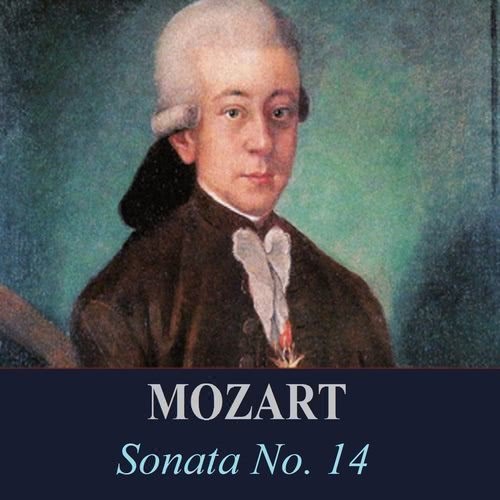 Flute Concerto in D Major, K. 314: III. Rondo. Allegretto