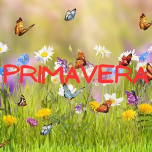 อัลบัม PRIMAVERA ศิลปิน Relax