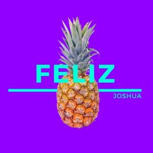 收聽Jose Gonzalez的Feliz歌詞歌曲