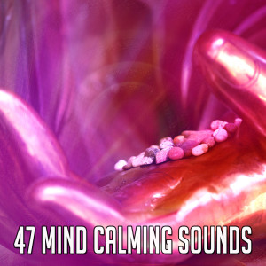 Listen to Love Yourself song with lyrics from Meditation Spa