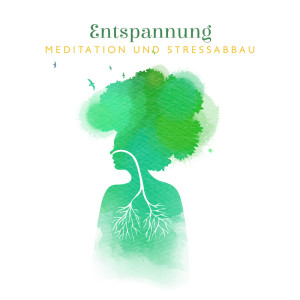 Listen to Entspannungsmusik Schlafen Musik song with lyrics from Tiefenentspannung Academy