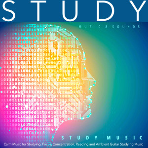 Listen to Background Studying Music song with lyrics from Study Music