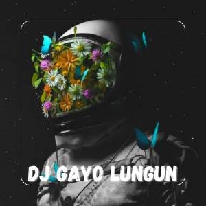 Dengarkan DJ GAYO LUNGUN lagu dari DJ ERKA dengan lirik