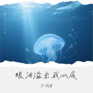 Album 眼泪溢出我心底 from 卢润泽