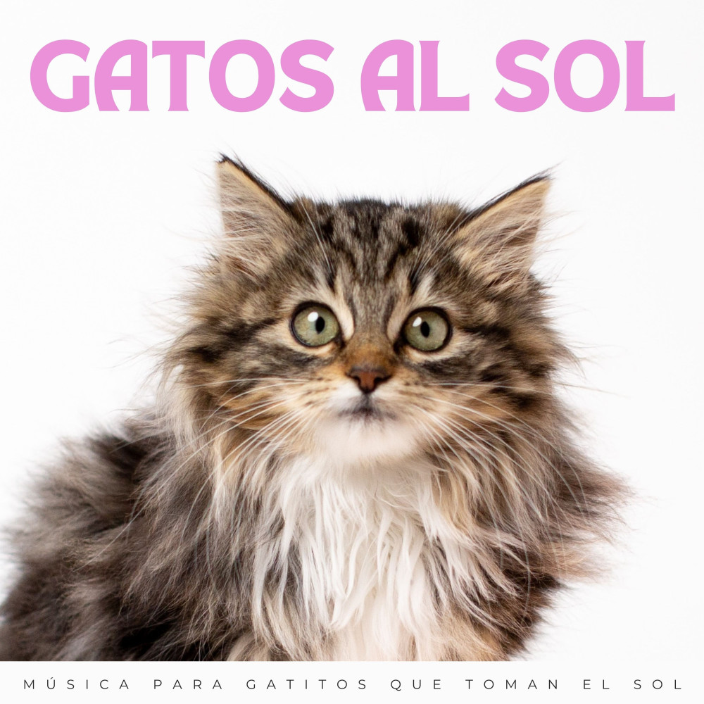 Nuestra Sonata