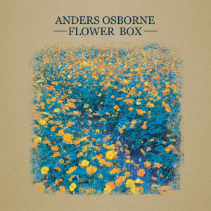 ดาวน์โหลดและฟังเพลง Fools Gold พร้อมเนื้อเพลงจาก Anders Osborne