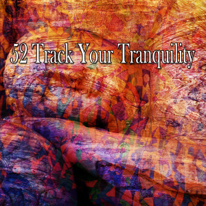 52 Track Your Tranquility