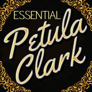 ดาวน์โหลดและฟังเพลง Suddenly There's A Valley พร้อมเนื้อเพลงจาก Petula Clark