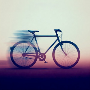 Album Cycle from Polaroyd