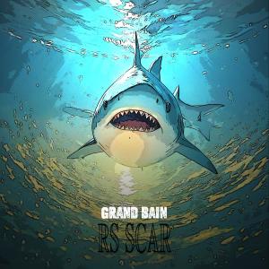 RS Scar的專輯Grand bain (Explicit)