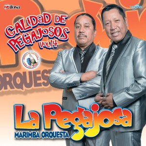 อัลบัม Calidad de Pegajosos Vol. 14. Música de Guatemala para los Latinos ศิลปิน Marimba Orquesta La Pegajosa