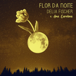 Album Flor da noite oleh Ana Carolina