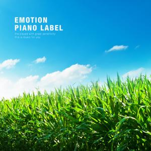 Listen to Along the wind song with lyrics from Dreaming Sky