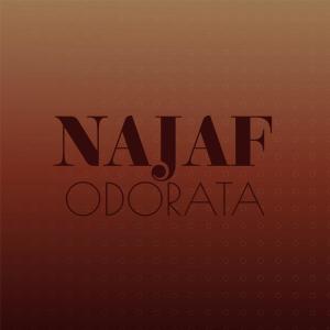 Various Artists的專輯Najaf Odorata