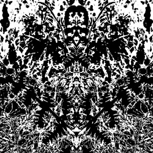 Listen to CRYPT song with lyrics from ATAXU