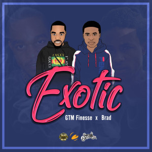 Album Exotic (Explicit) from 