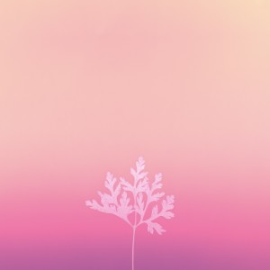 收聽Imari Miki的Beyond the Horizons歌詞歌曲